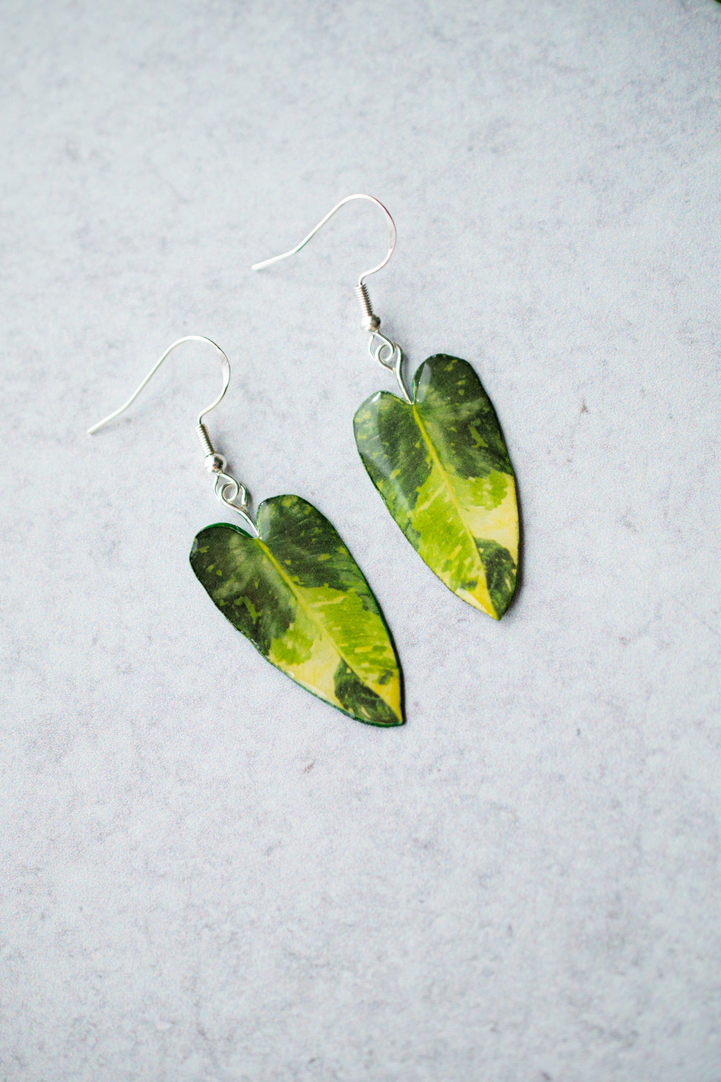 Philodendron Paraiso Verde Aurea Plant Earrings | Leaf Earrings