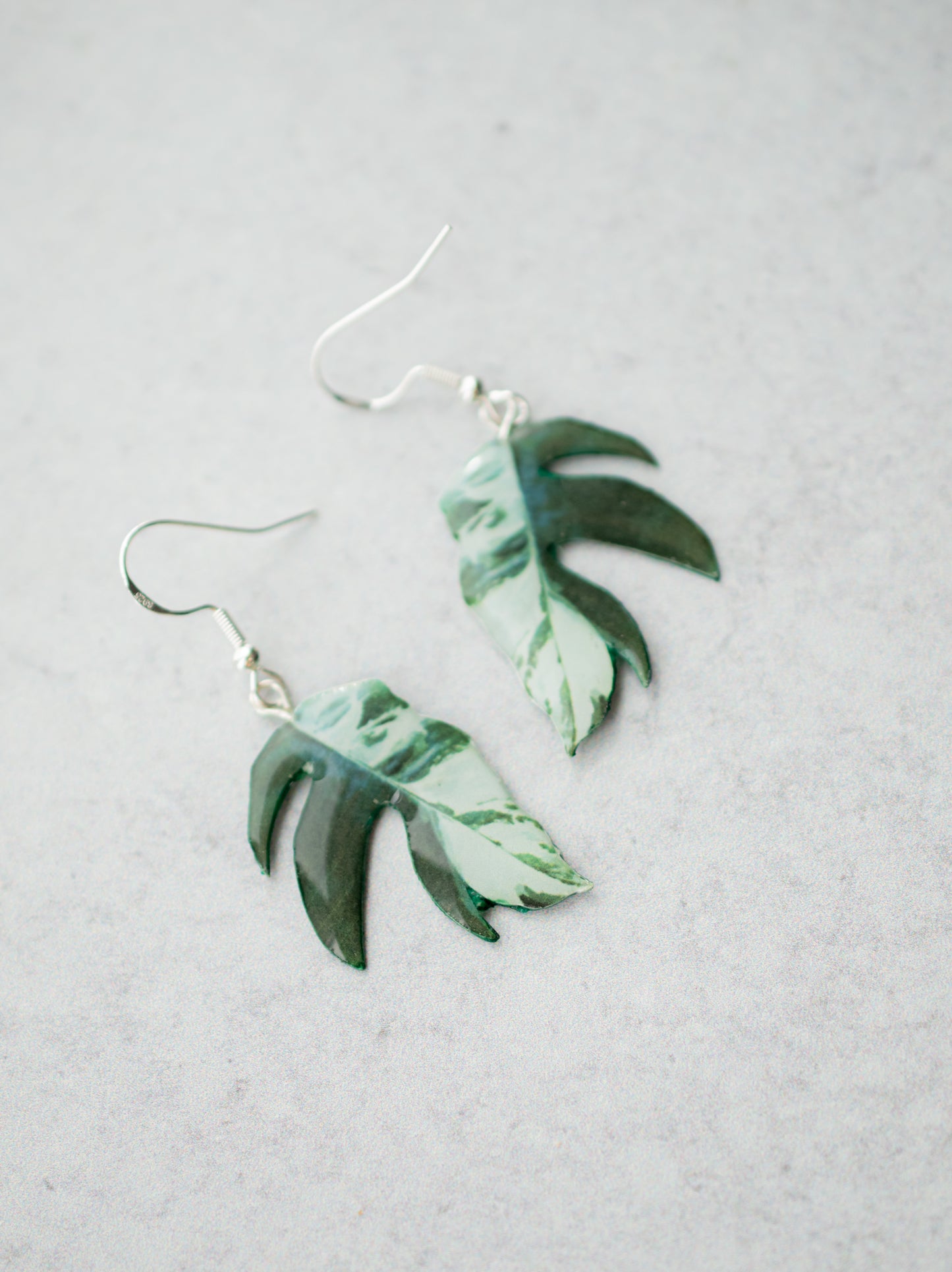 Epipremnum Pinnatum Albo Plant Earrings | Leaf Earrings