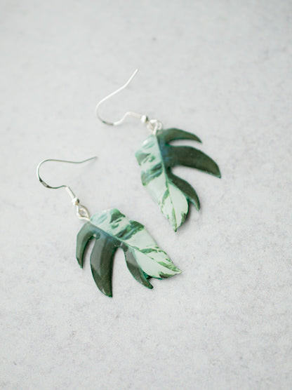 Epipremnum Pinnatum Albo Plant Earrings | Leaf Earrings
