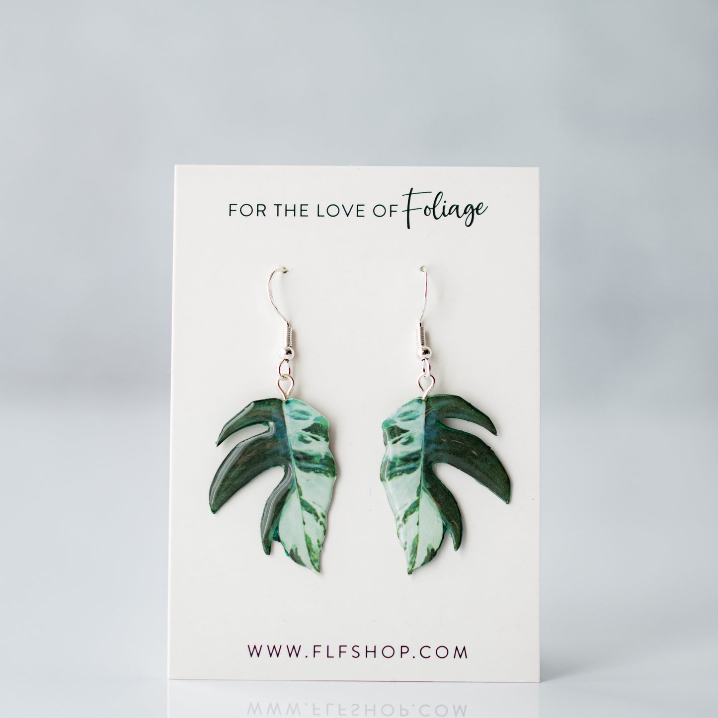 Epipremnum Pinnatum Albo Plant Earrings | Leaf Earrings
