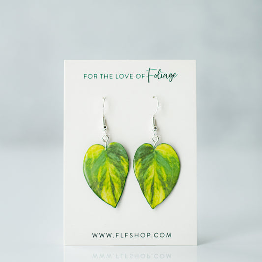 Epipremnum Aureum "Golden Pothos" Plant Earrings | Leaf Earrings