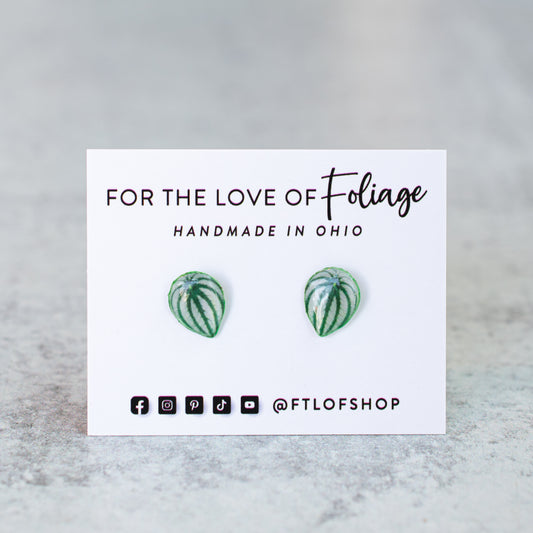 Watermelon Peperomia Stud Earrings | Leaf Earrings