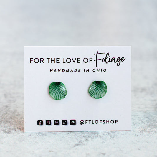 Calathea Orbifolia Stud Earrings | Leaf Earrings