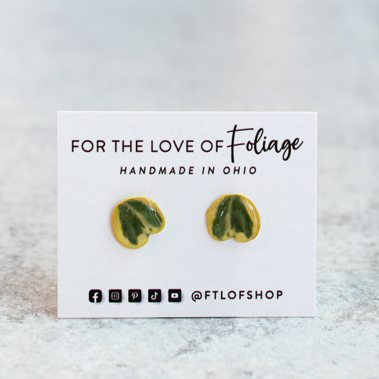 Hoya Kerrii Heart Stud Earrings | Leaf Earrings