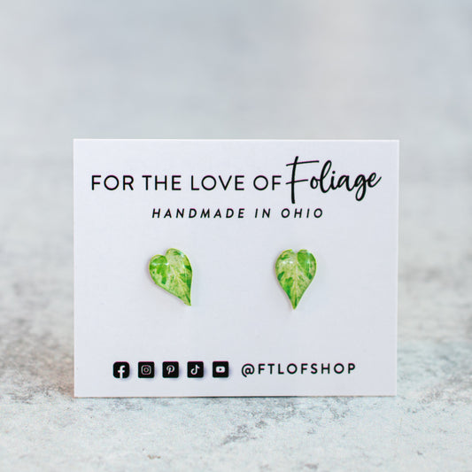 Variegated Heartleaf Philodendron Stud Earrings | Leaf Earrings