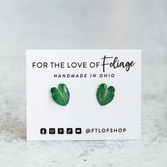 Philodendron Gloriosum Stud Earrings | Leaf Earrings