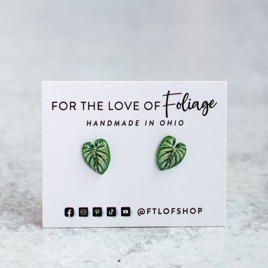 Philodendron Mameii Silver Stud Earrings | Leaf Earrings