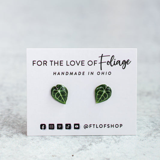Anthurium Clarinervium Stud Earrings | Leaf Earrings
