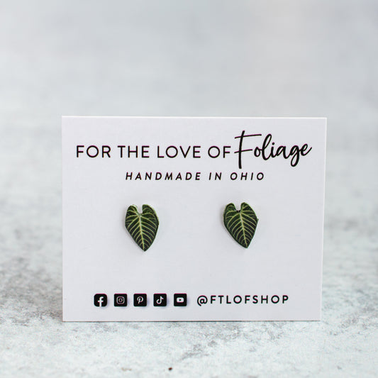 Anthurium Regale Stud Earrings | Leaf Earrings