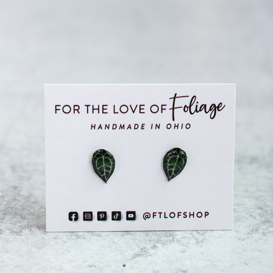 Anthurium Forgetii Stud Earrings | Leaf Earrings