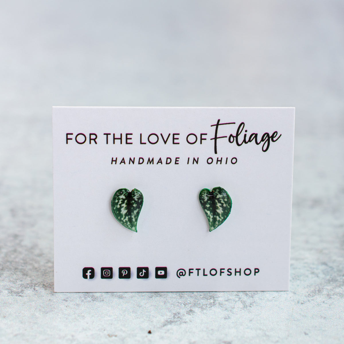 Scindapsus Argyraeus "Satin Pothos" Stud Earrings | Leaf Earrings