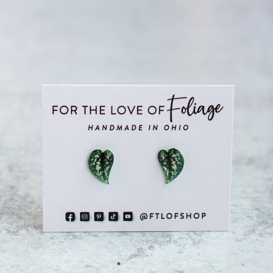 Scindapsus Argyraeus "Satin Pothos" Stud Earrings | Leaf Earrings