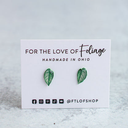 Monstera Siltepecana Stud Earrings | Leaf Earrings