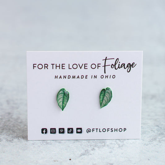 Monstera Siltepecana Stud Earrings | Leaf Earrings