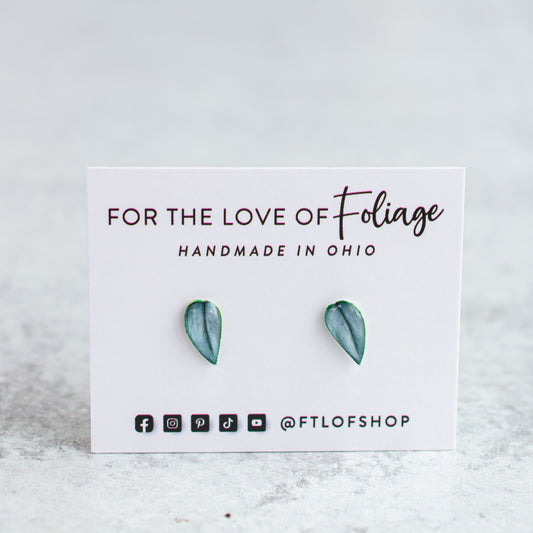 Scindapsus Treubii Moonlight Stud Earrings | Leaf Earrings