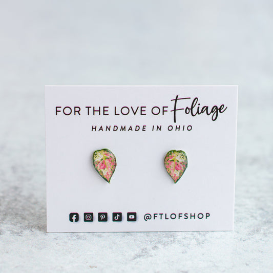 Aglaonema Favonian Stud Earrings | Leaf Earrings | Orchid Earrings