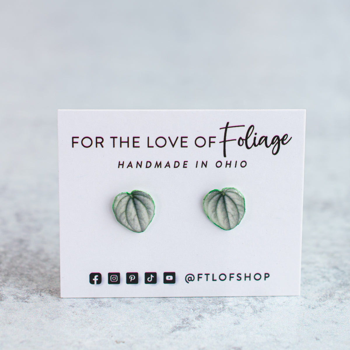 Frost Peperomia Stud Earrings | Leaf Earrings