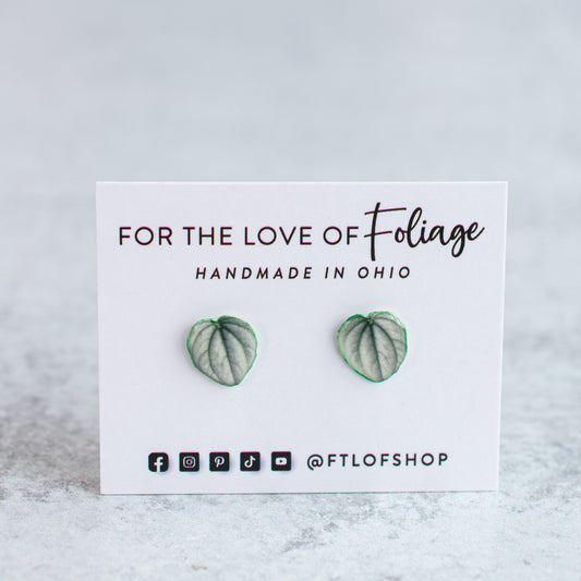 Frost Peperomia Stud Earrings | Leaf Earrings