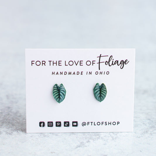 Alocasia Silver Dragon Stud Earrings | Leaf Earrings
