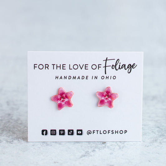 Hoya Blossom Plant Earrings Gift Set | Leaf Earrings | Hoya Necklace