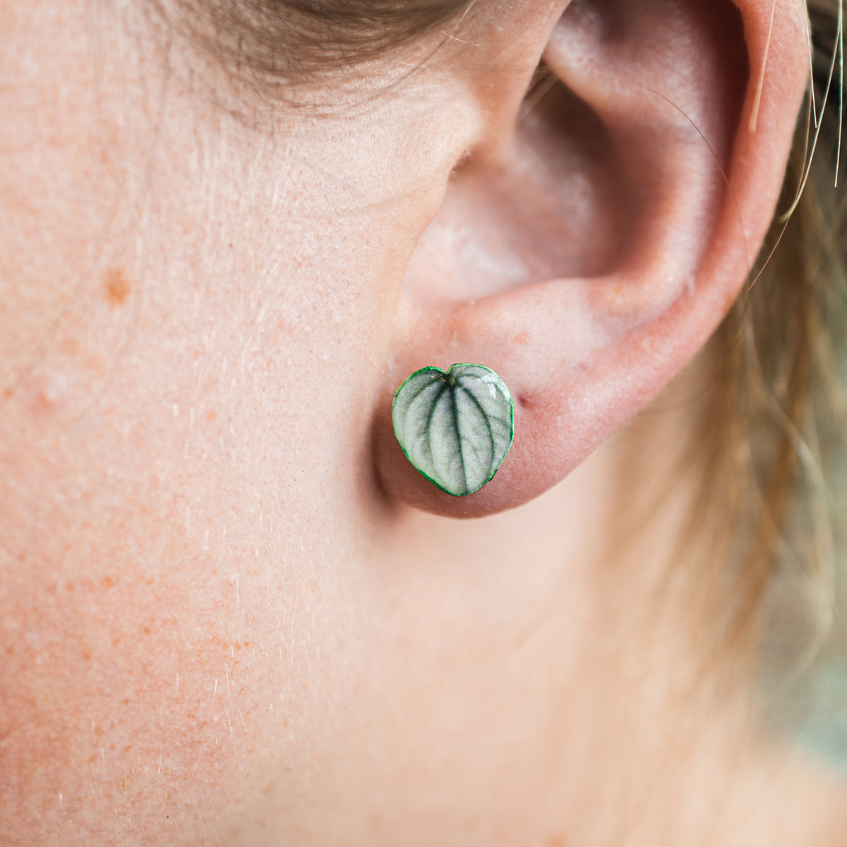 Frost Peperomia Stud Earrings | Leaf Earrings