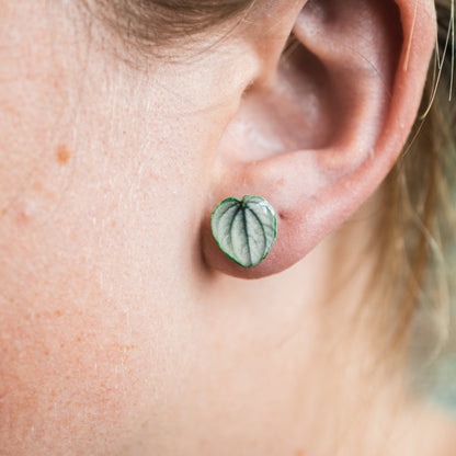 Frost Peperomia Stud Earrings | Leaf Earrings