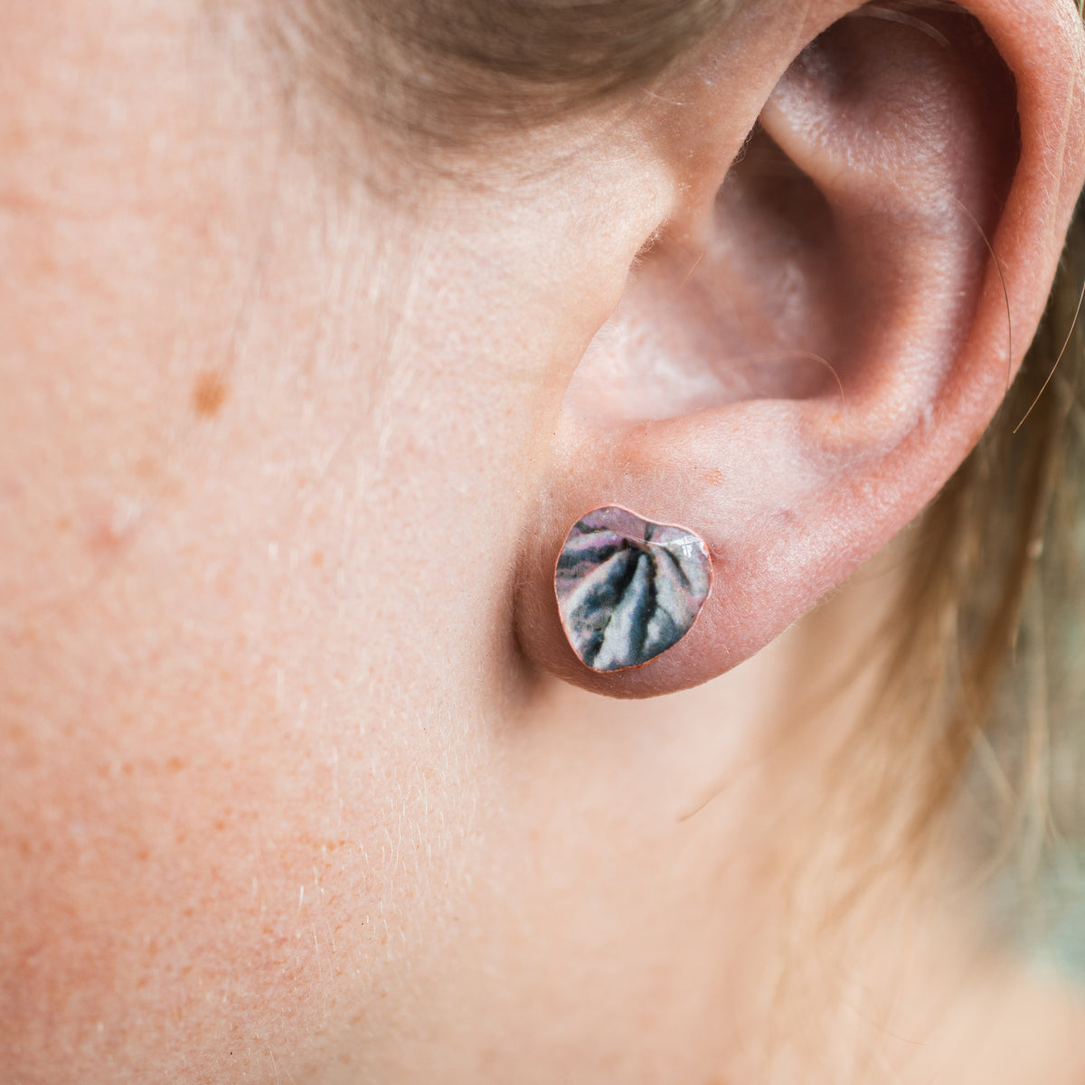 Pink Lady Peperomia Stud Earrings | Leaf Earrings