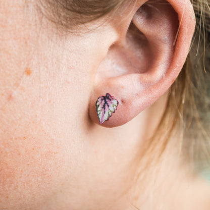 Rex Begonia Salsa Stud Earrings | Leaf Earrings