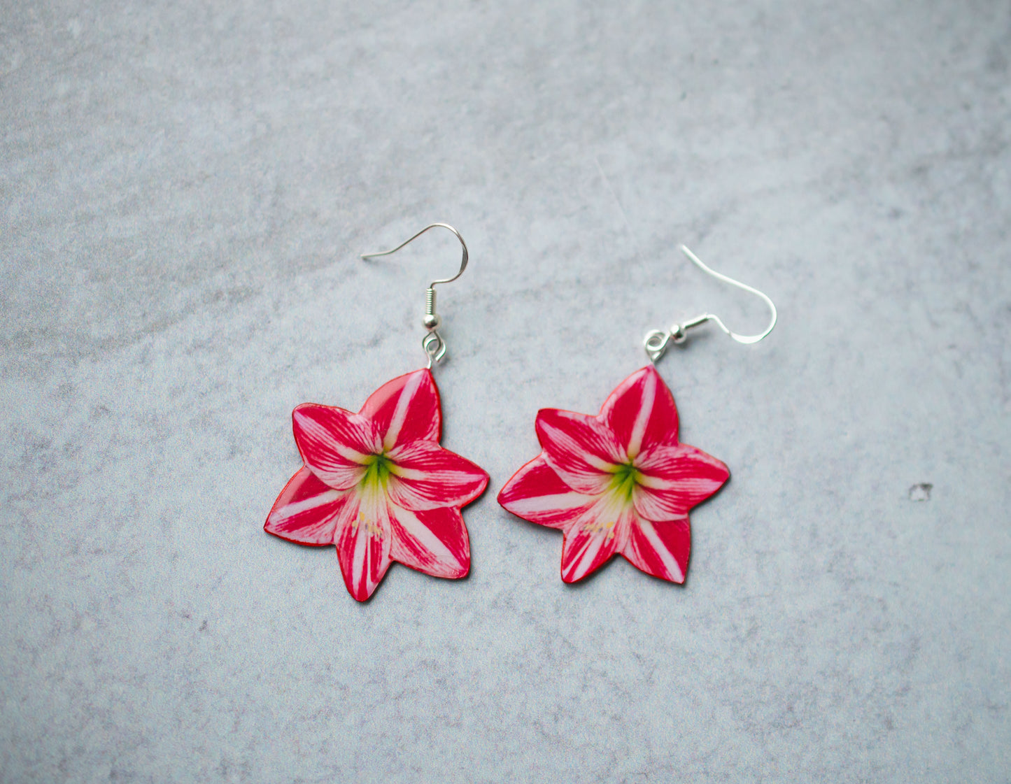 Holiday Peppermint Amaryllis Plant Earrings | Flower Blossom Earrings | Red Earrings