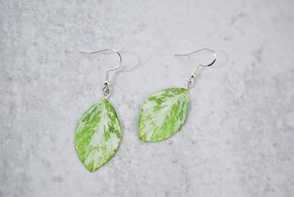 Variegated Persicaria Virginiana "Jumpseed" Plant Earrings | Leaf Earrings