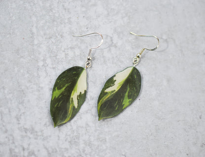 earring philodendron Philodendron "White Wizard" Plant Earrings