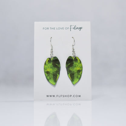 Philodendron Burle Marx Variegated Plant Leaf Earrings | Leaf Earrings