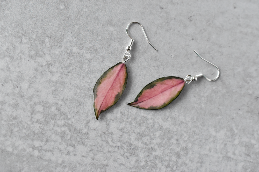 Hoya Krimson Princess Plant Earrings | Leaf Earrings