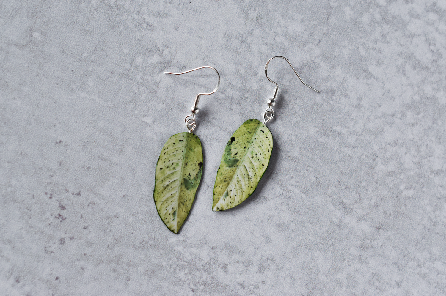 Dieffenbachia "Camouflage" Plant Earrings | Leaf Earrings