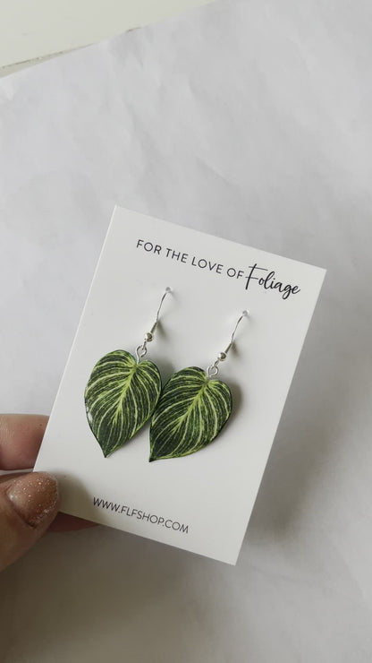 Philodendron Birkin Plant Earrings | Leaf Earrings