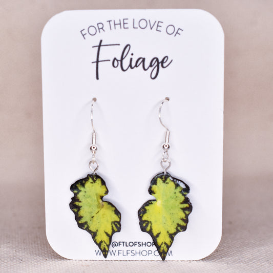 Rex Begonia "River Nile" Plant Earrings | Leaf Earrings