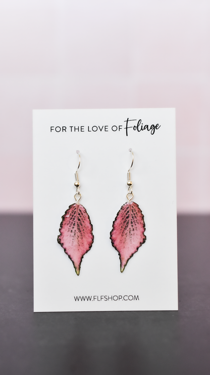 Fittonia Frankie Plant Earrings | Leaf Earrings