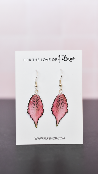 Fittonia Frankie Plant Earrings | Leaf Earrings