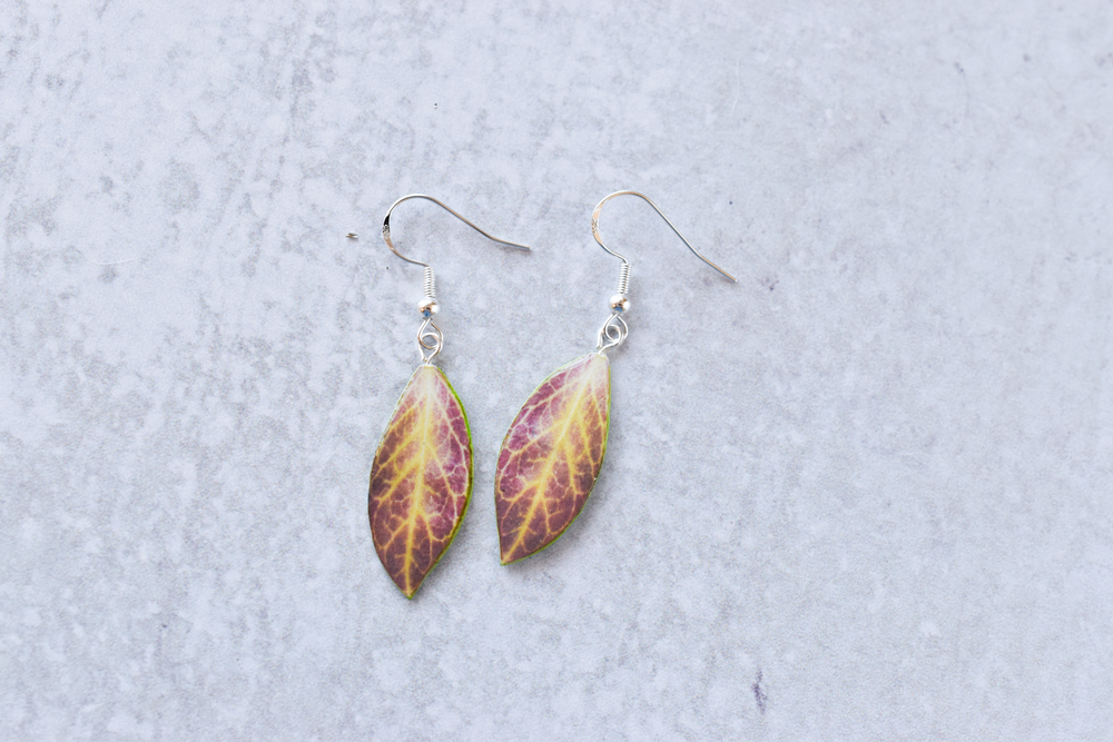 Hoya Sunrise Plant Earrings | Leaf Earrings