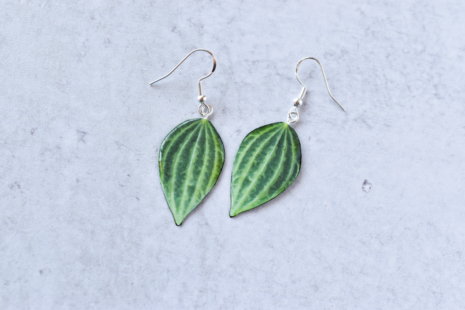 Peperomia Puteolata Plant Earrings | Leaf Earrings