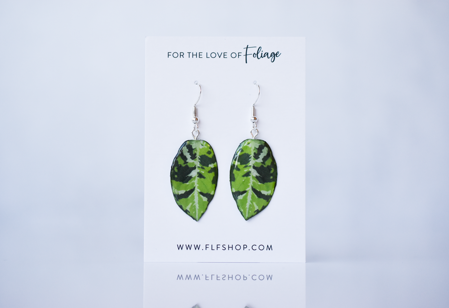 Aglaonema Pictum Tricolor Plant Earrings | Leaf Earrings
