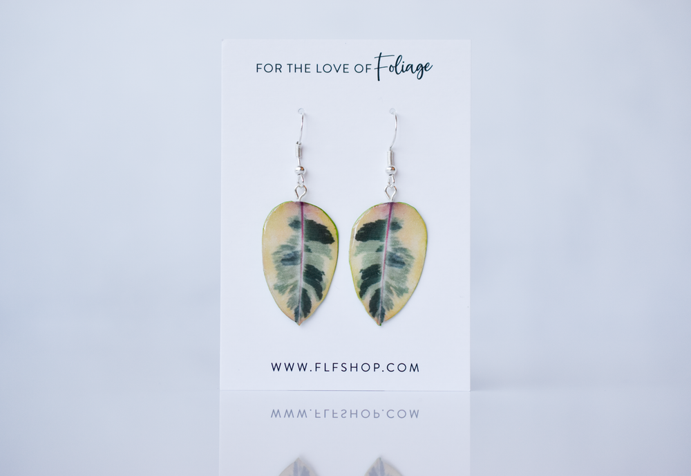 Ficus Tineke Plant Earrings | Leaf Earrings