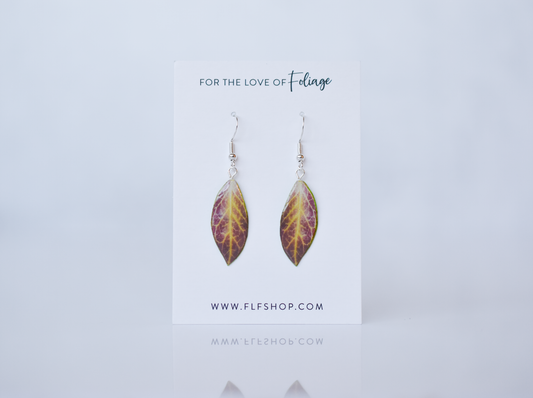 Hoya Sunrise Plant Earrings | Leaf Earrings