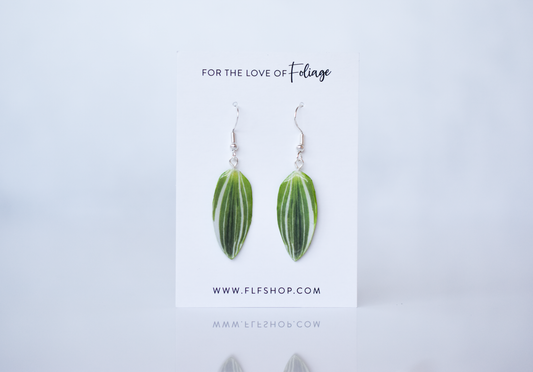 Tradescantia Albovittata Earrings | Leaf Earrings | Plant Earrings