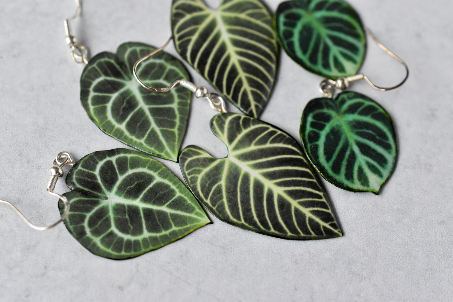 Anthurium Dorayaki Plant Earrings | Leaf Earrings