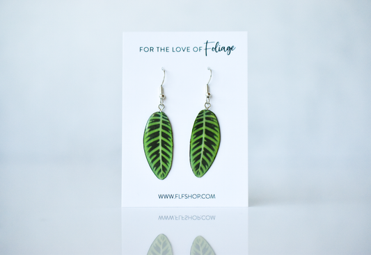 Calathea Zebrina Plant Earrings | Leaf Earrings