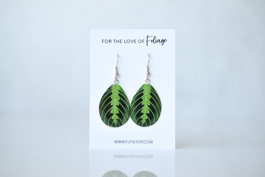 Lemon Lime Maranta Plant Earrings | Leaf Earrings