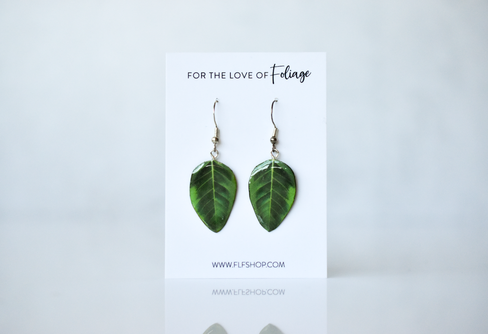 Ficus Audrey Plant Earrings | Leaf Earrings