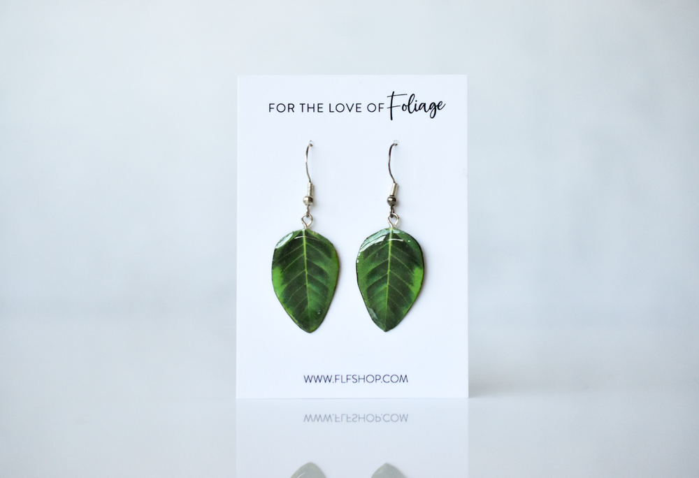 Ficus Audrey Plant Earrings | Leaf Earrings