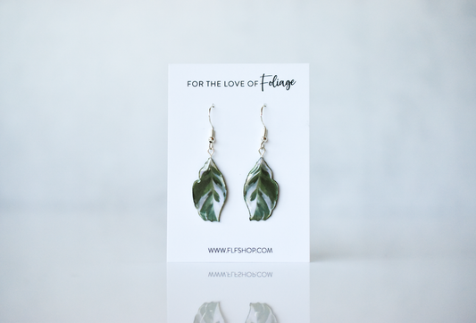 Calathea White Fusion Plant Earrings | Leaf Earrings